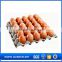 new hot 12 eggs tray pp for packing and transportation