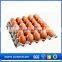 2016 hot sales tray for 30 eggs