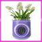 Promotion Gift Beautiful Flower Pot Electronic Digital Clock