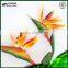 Bird of Paradise real touch decorative artificial flower making