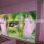 Outdoor Led Advertising Screen Printer ,led Advertising Printer,advertising Balloon Printer