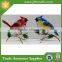 Handmade Metal Parrot for Crafts Garden Decoration Wholesale