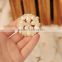 Updated exported large rhinestone brooch for wedding