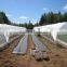 Hot Sale Greenhouse Film for Fruit