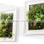 decor wall plants artificial succulent plants on photo frame