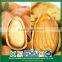 Wholesale Particle Filled Screw Weight Open Pine Nuts in Shell