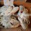 Whole frozen blue swimming crab