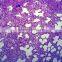 zoology pathology /animal pathology prepared slides for microscopes