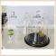 glass bell cloche jars with wooden base wholesale