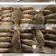 whole round good packing frozen crab for sale