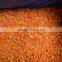 Export standard Frozen Carrot sliced