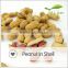 Chinese high quality good price red skin raw peanut in shell
