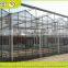 modern multi span greenhouse for agriculture farming and vegetable grow