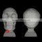 white natural stone skull statue