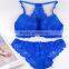 Lady care sexy sponge stylish hot fancy bra and panty set