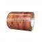 Oak Grain Wall Decor Color-coated Aluminum Coil