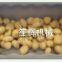 New version brush potatoes/carrot/taro/yam peeling machine with cover