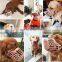 Hot Selling Plastic PP Adjustable Fashionable Pet Anti-bite Mask Large Medium Dog Pet Leather  Muzzle Appliance