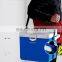 High Quality 15L Cooler Box Cans Box Beer Cooler Ice Keeping Insulated Ice Chest Cooler Box for Picnic Camping
