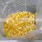 Variety Gannan Zigui IQF Frozen  Navel Orange Segments