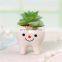 Fashion Garden Decor Succulent Planter Home And 2021 Guangdong Flower Pots Planters Potted Faux Plants Cute Tooth Shape Pot