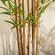Top Sales New Design Artificial Plante Bamboo Bonsai Real Touch Wood Pole Plants Decorative for Indoor Home Outdoor