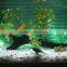 IP68 waterproof patented V-0 underwater LED RGB display CE UL approved