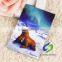 OEM design Lenticular Printing Plastic PP/PET/PVC 3D souvenir fridge magnet