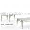 CT-09 ET-09 stainless steel glass modern coffee table