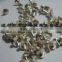 contact tips /silver contact rivets/electrical accessories