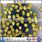 Man made yellow RVD diamond powder
