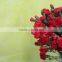 Various crazy selling products for 2015 carnation flower