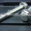 Stainless Steel Bolt