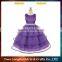 2016 Promotion girl birthday party formal dress fancy wedding dress