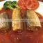 Canned Sardine fish in chili(125g/155g/425g)