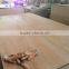 hight quality 1220x2440mm eucalyptus plywood for commercial/construction