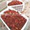 Supply Natural Sun Dried Tomato halves with large quantity
