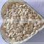 Chinese shine skin pumpkin seeds price