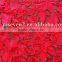 HIGH QULITY new beautiful lace fabric, embroidery lace fabric, lace dress fabric