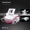 Vertical 2 Cryo Handles Cryolipolysis Beauty Cellulite Reduction Slimming Machine For Salon Use