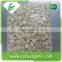 Wholesale fresh peeled garlic price