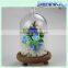 Natural preserved rose geometric glass tilted cube rose glass terrarium 100% fresh flower