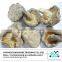 High quality dried mushroom extract