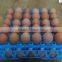 Environmental protection chicken eggs ray transport chicken eggs