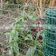 Green Color Plastic garden Mesh netting