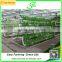 hot sale greenhouse hydroponic culture tray/system for vegetables