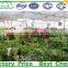 High Quality Multi Span Plastic Commercial Greenhouse for vegetable and Flower Fostering