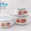 High Quality 3 Pcs Mini W/Glass Cover Decor