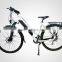 Aluminum Alloy High Quality 26inch Electric Bicycle, 250w Long Range Electric Bike,