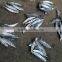 New Crop Seafood Frozen Pacific Mackerel Fish